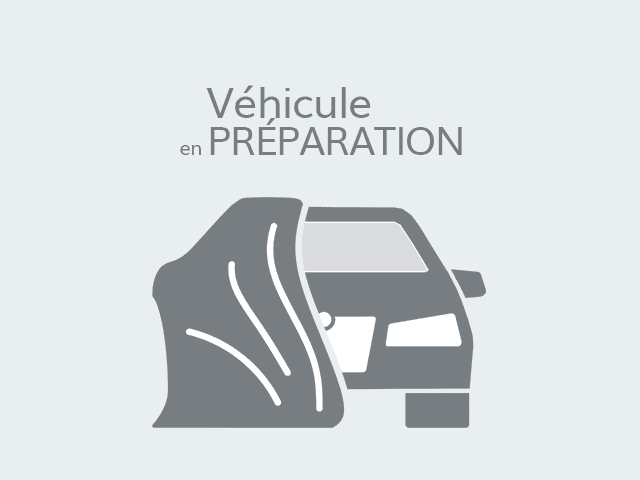 Renault Scenic sans photo
